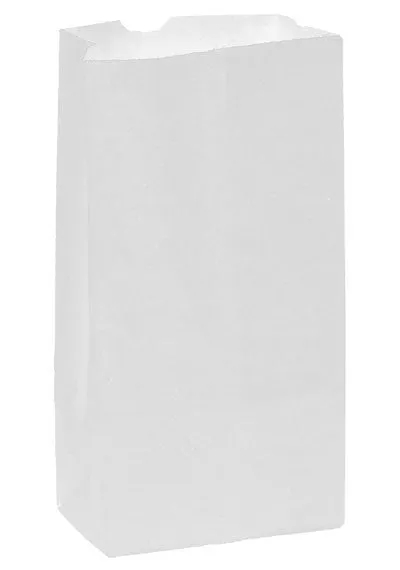 Wholesale White Kraft 10# Grocery Bag - 6G10W